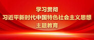 日屄屌屌片学习贯彻习近平新时代中国特色社会主义思想主题教育_fororder_ad-371X160(2)